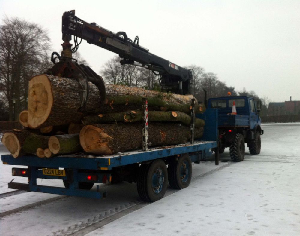 Tree Work with Crane & Trailer Mog