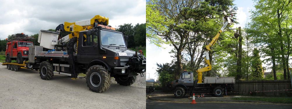 Tree Surgeon Rising High with Access Platform