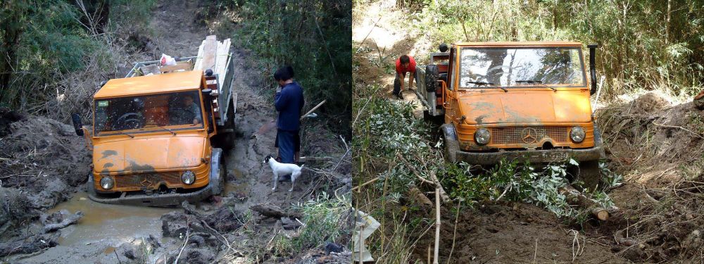 Hardworking U900 Mog in Chilean Jungle